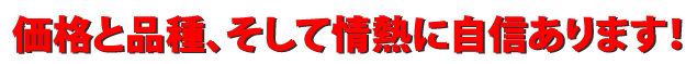 菊 価格に自信あります