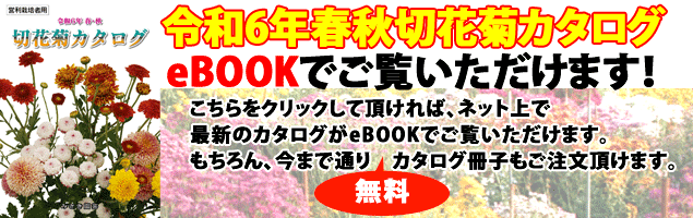 eBOOKみさき園芸　切花菊カタログ