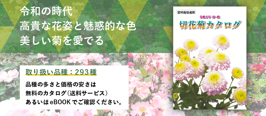 �J�^���O�����E�����E�₢���킹