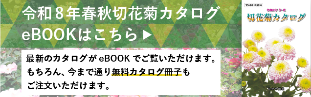 eBOOKみさき園芸 切花菊カタログ